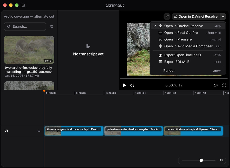 A sample arctic coverage cut in Stringout with named source ranges on the timeline and the real NLE export chooser open.