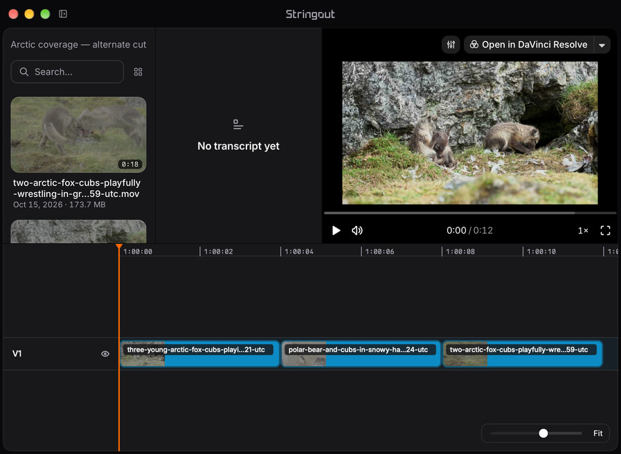 An illustrative arctic coverage revision in Stringout, with source recordings in the project and three named source ranges in the cut.