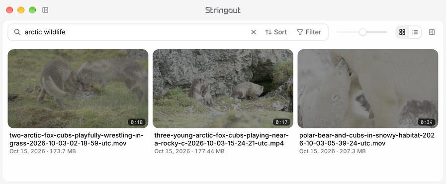 Stringout library search for arctic wildlife showing indexed fox cubs and polar bear coverage from a documentary source folder.