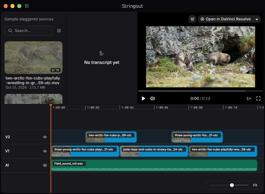 Illustrative Stringout project timeline with staggered wildlife picture clips on two video lanes and a sample sound-roll placement on an audio lane.