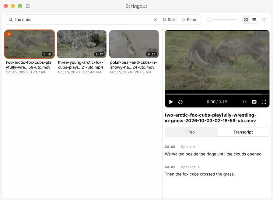 A selected wildlife recording in the Stringout library with an illustrative sample transcript passage in the real Transcript tab.